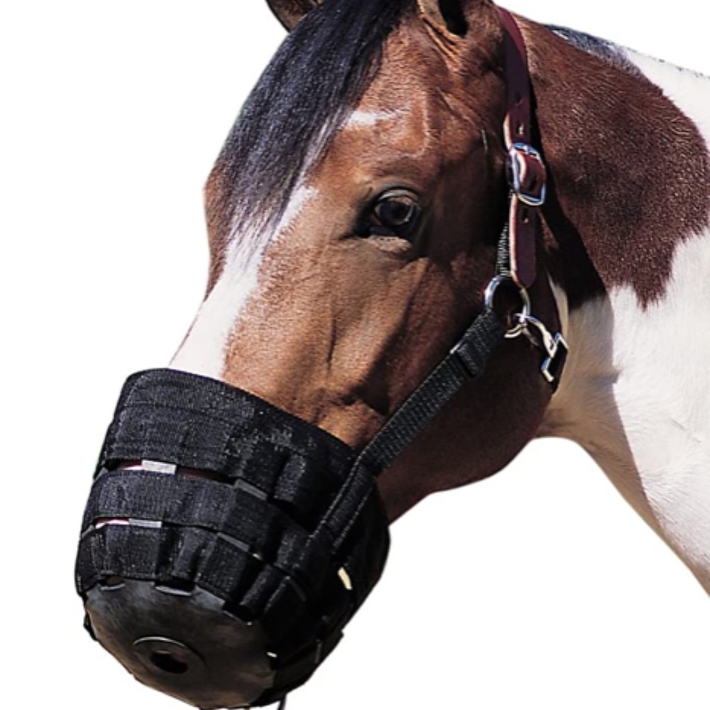 Horse Grazing Muzzle